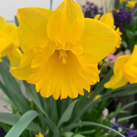 Alte Post Hotel Lindau